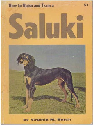 Item #12395 HOW TO RAISE AND TRAIN A SALUKI. Virginia M. Burch