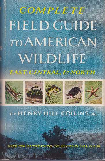 Item #15315 COMPLETE FIELD GUIDE TO AMERICAN WILDLIFE.; East, Central & North. Henry Hill Collins Jr.
