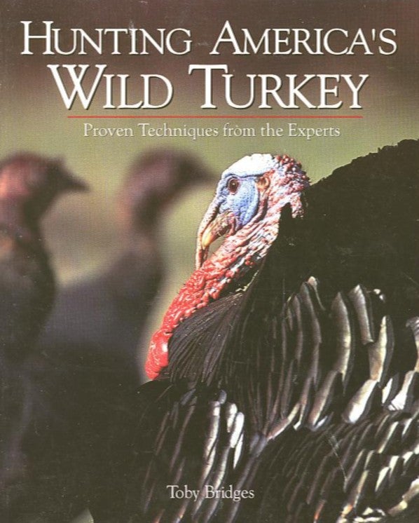 Item #18465 HUNTING AMERICA'S WILD TURKEY; Proven Techniques from the Experts. Toby Bridges.