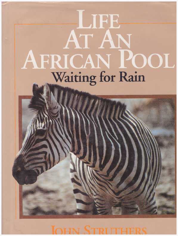 Item #19279 LIFE AT AN AFRICAN POOL.; Waiting for Rain. John Struthers.