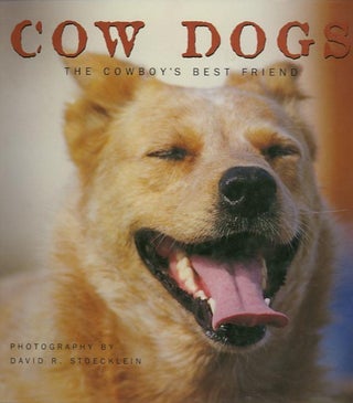 Item #23550 COW DOGS; The Cowboy's Best Friend. David R. Stoecklein, photographer