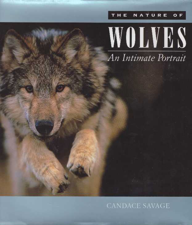 Item #29092 THE NATURE OF WOLVES; An Intimate Portrait. Candace Savage.