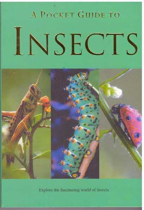 Item #31176 A POCKET GUIDE TO INSECTS. Patrick Hook