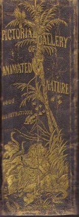 Item #31565 THE PICTORIAL GALLERY OF ANIMATED NATURE. M. A. Bingley, Rev. W