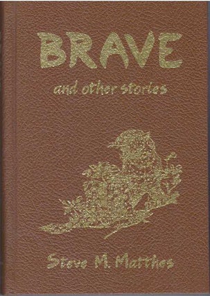 Item #3446 BRAVE AND OTHER STORIES. Steve M. Matthes