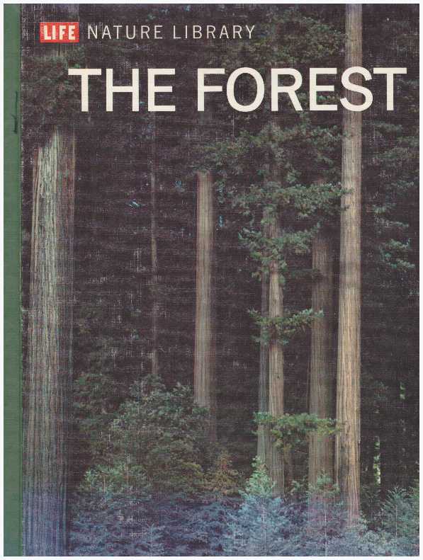 Item #8401 THE FOREST. Peter Farb.